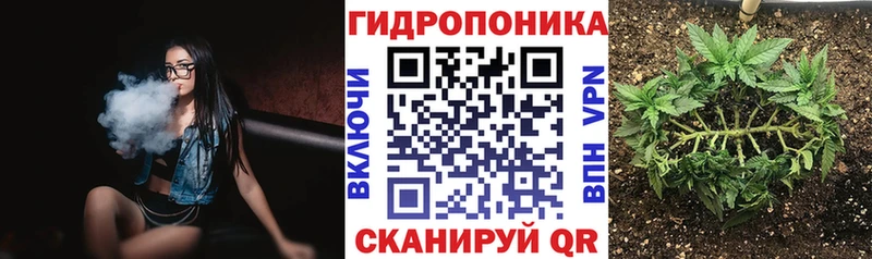 Виды наркоты Палласовка A-PVP МЕФ мега tor Марихуана ГАШ