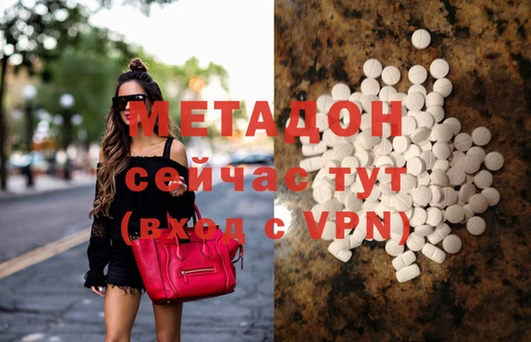прущие грибы Нягань