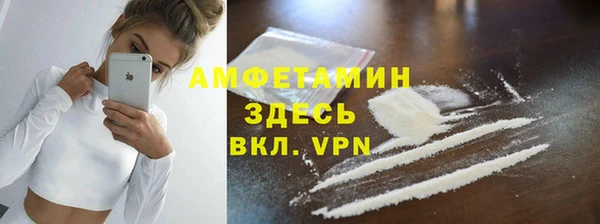 прущие грибы Нягань