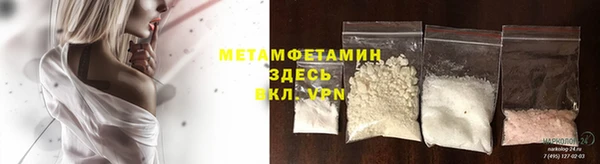 прущие грибы Нягань