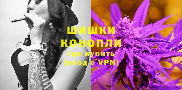 прущие грибы Нягань
