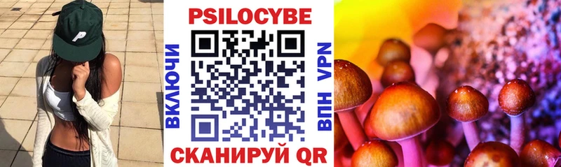 закладка  Палласовка  Псилоцибиновые грибы GOLDEN TEACHER 